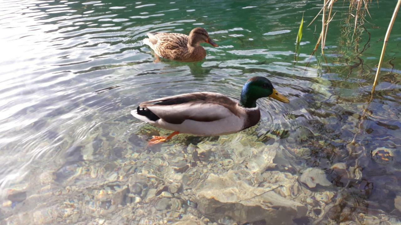 Vacation House Home, Plitvice Lakes National Park Plitvička Jezera Kültér fotó